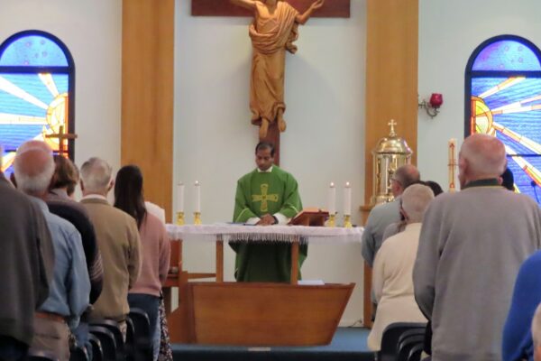 Combined Family Mass-1